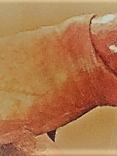 Amateur pictures mixed of my hard cock standing up.